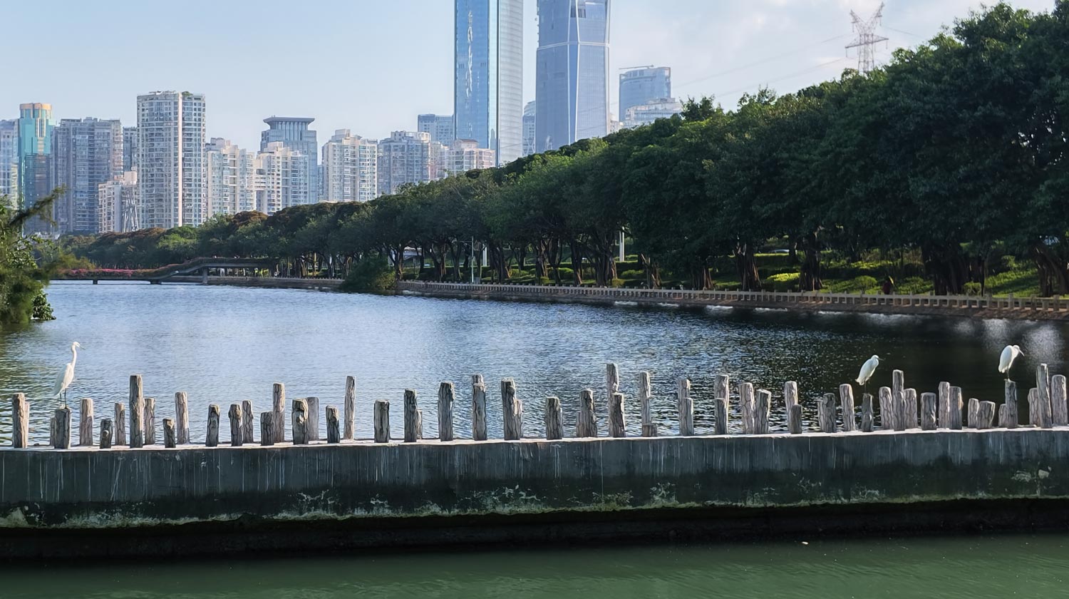 Yundang Lake