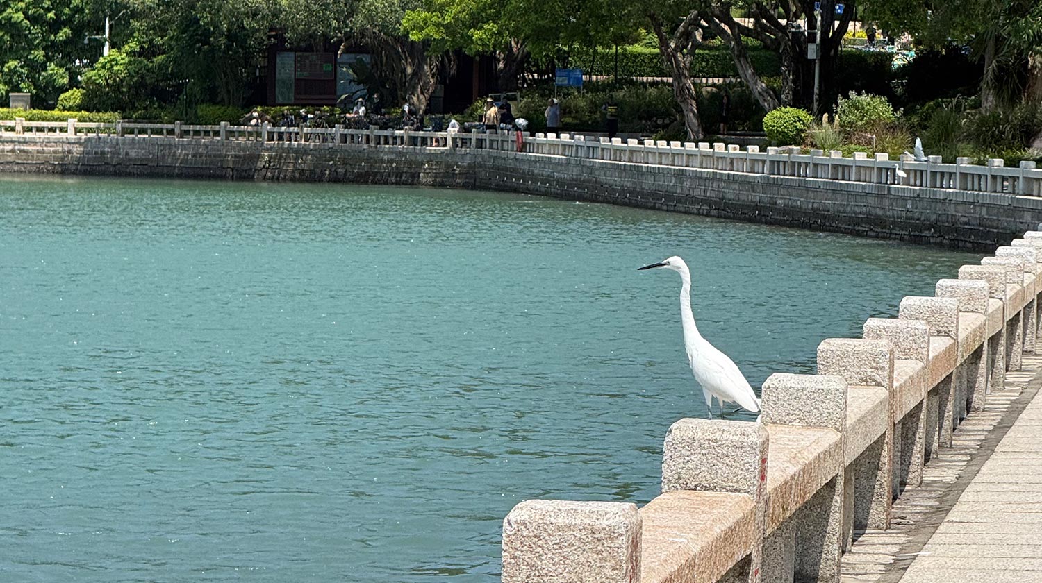 Yundang Lake