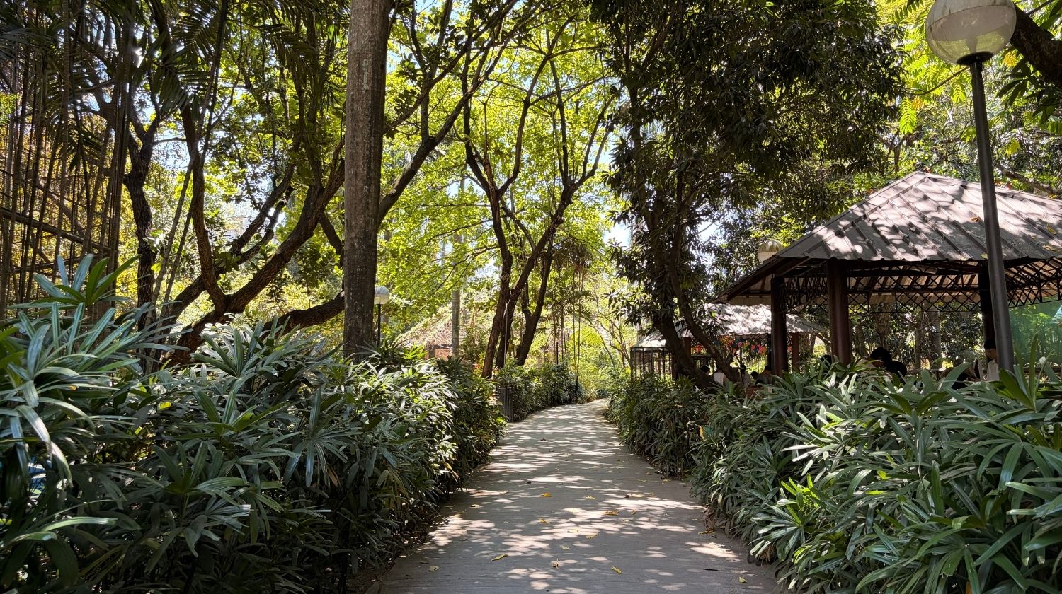 Maybunga Rainforest Park